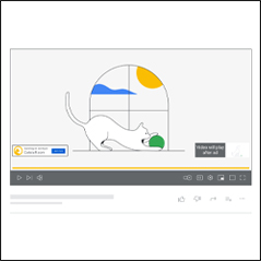 Non-skippable In-stream Ads