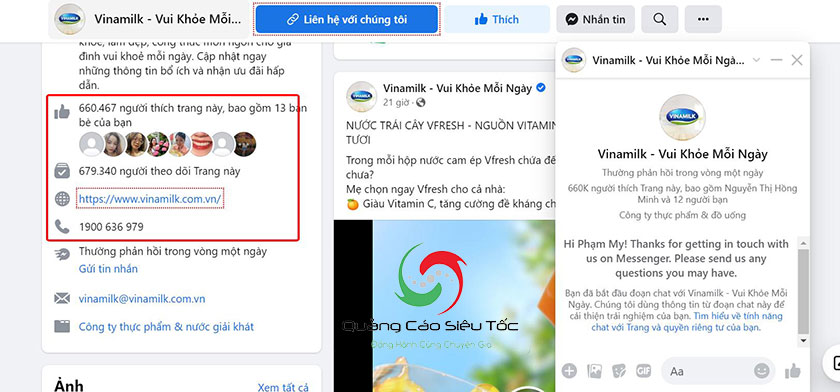 phân tích chiến lược marketing của vinamilk