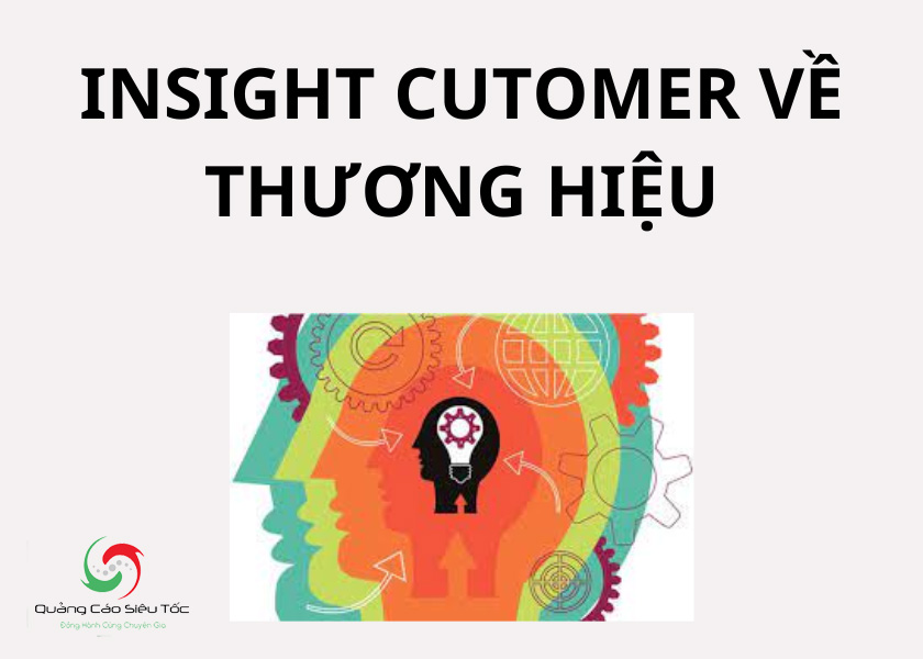 Các loại insight khách hàng