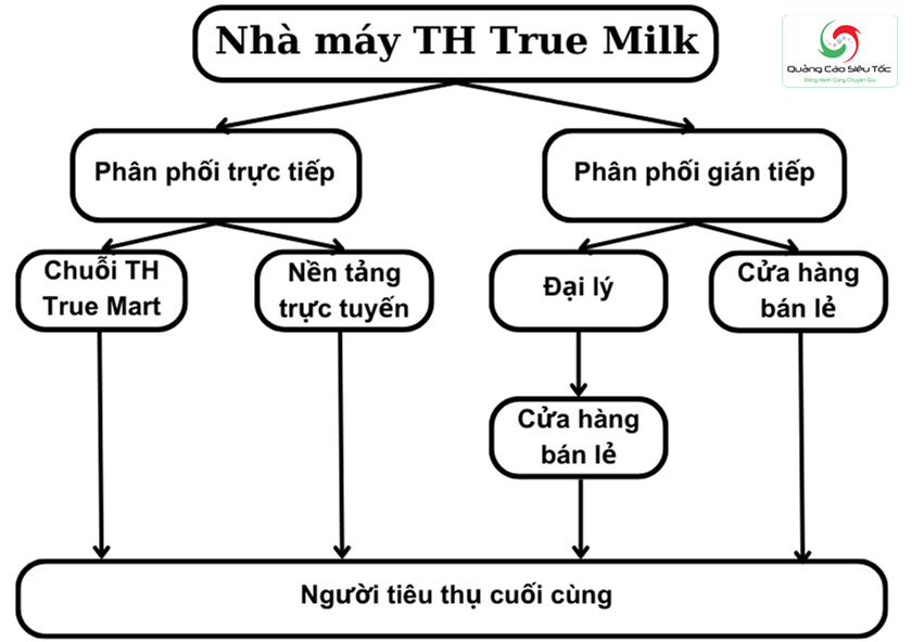 Sơ đồ cấu trúc kênh phân phối thương hiệu sữa TH True Milk