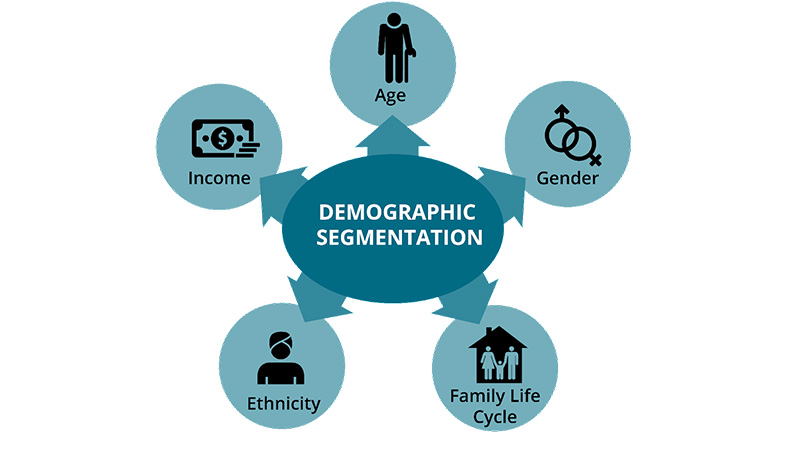 Demographic segmentation 