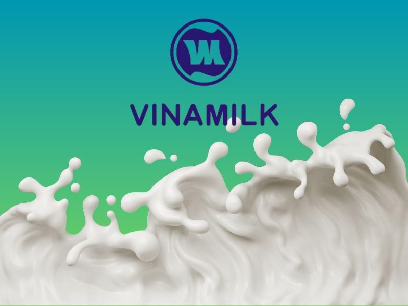 Phân khúc thị trường vinamilk