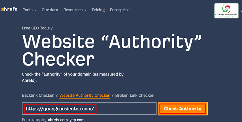 Nhập domain web và chọn Check Authority