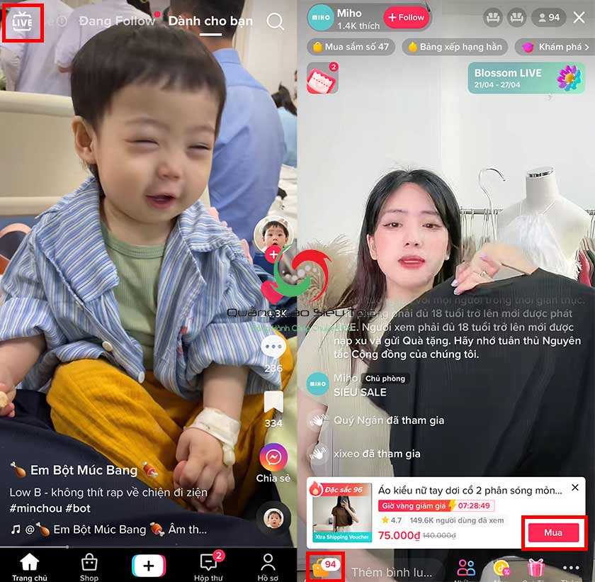 Cách mua hàng trên TikTok Live