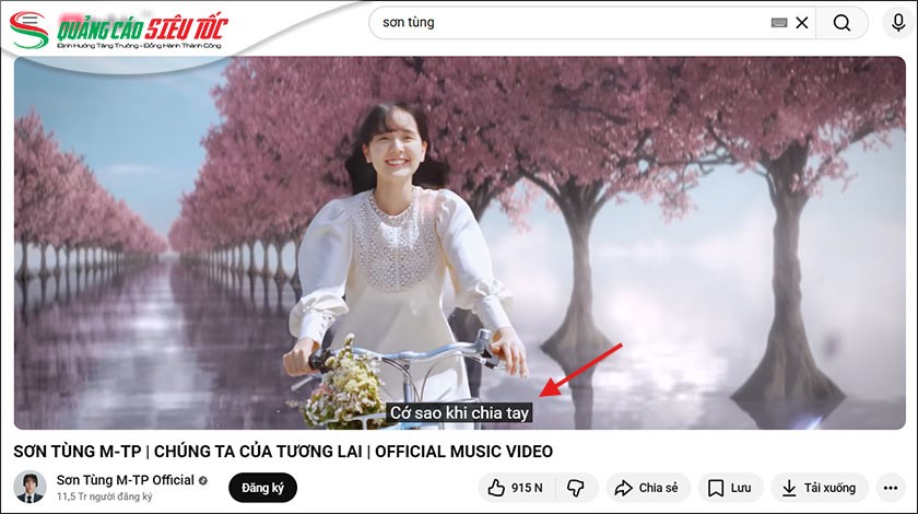 Caption tiếng việt sau khi bật