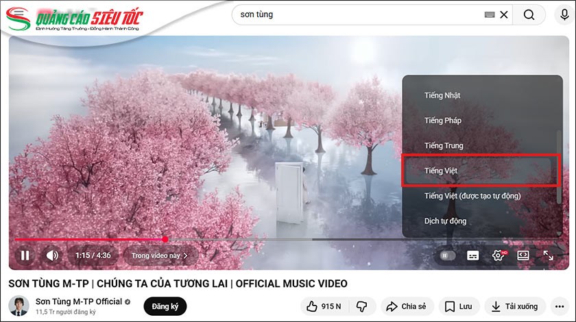 Chọn phụ đề tiếng Việt