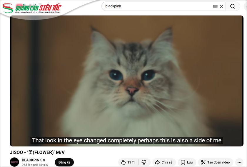 Phụ đề (Captions)