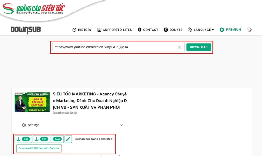 Sử dụng công cụ DownSub lưu phụ đề video Youtube