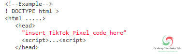 Vị trí chèn code Pixel trên Website