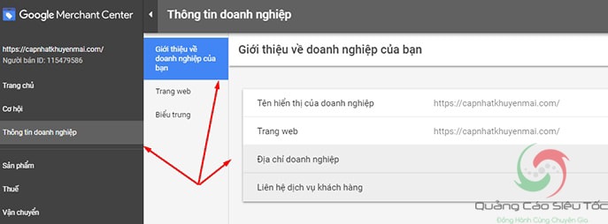 Thiết lập các thông tin tài khoản Google Merchant Center