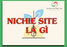 Niche Site là gì ? Cách tìm Niche Site SEO chất lượng nhất 2018 Niche Site là gì ? Cách tìm Niche Site SEO chất lượng nhất 2018